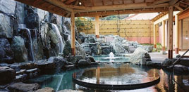 竹炭癒しの入浴温浴セットの画像2
